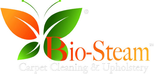Bio steam logo