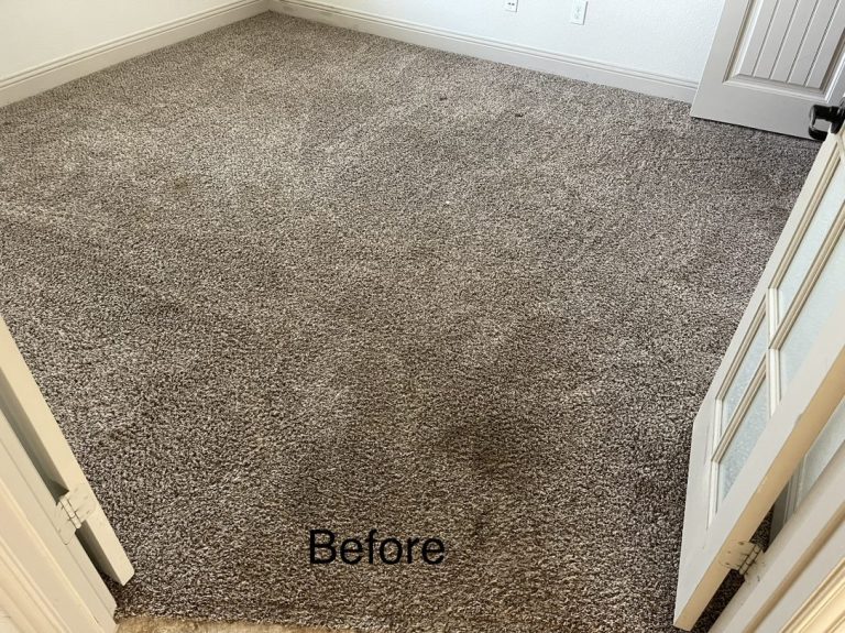 carpet before patching