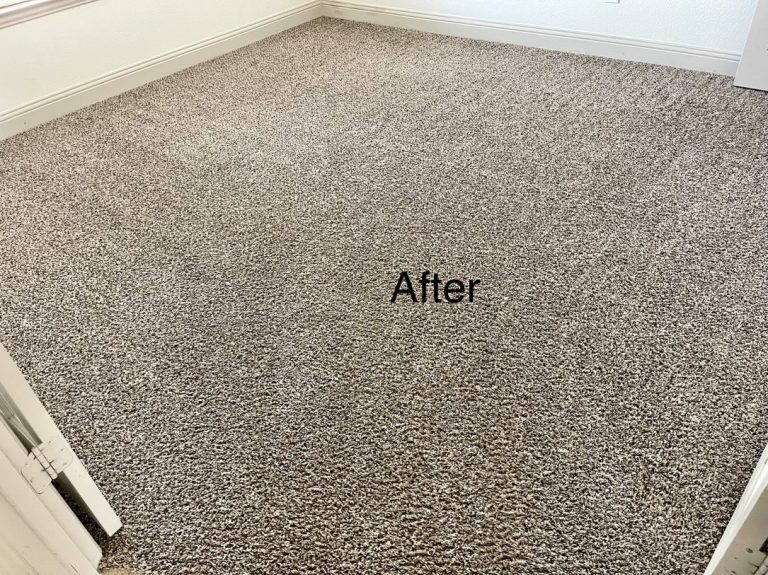 carpet after patching