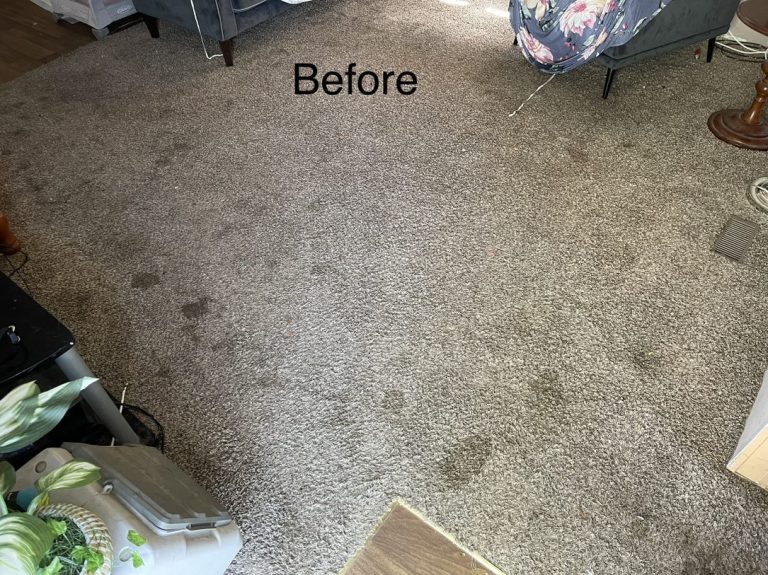 carpet before cleaning