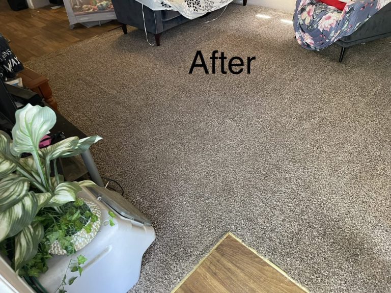 carpet after cleaning