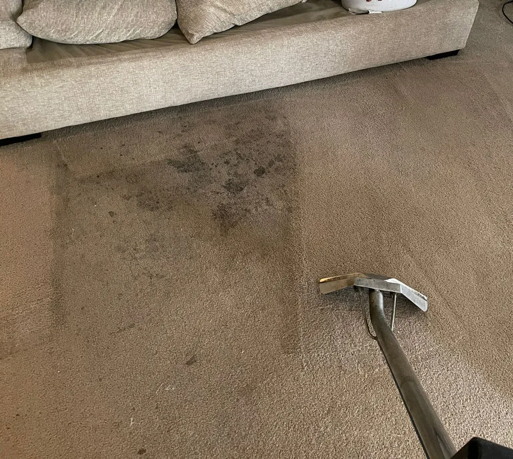 carpet strain removing