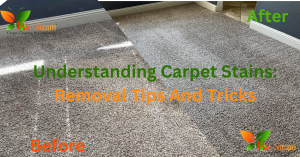 Understanding Carpet Stains: Removal Tips And Tricks