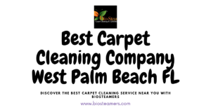 Carpet Cleaning in Palm Beach Gardens