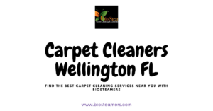 Professional Carpet Cleaners in Wellington, FL | BioSteamers