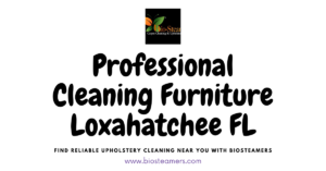 Professional Furniture Cleaning in Loxahatchee, FL | BioSteamers